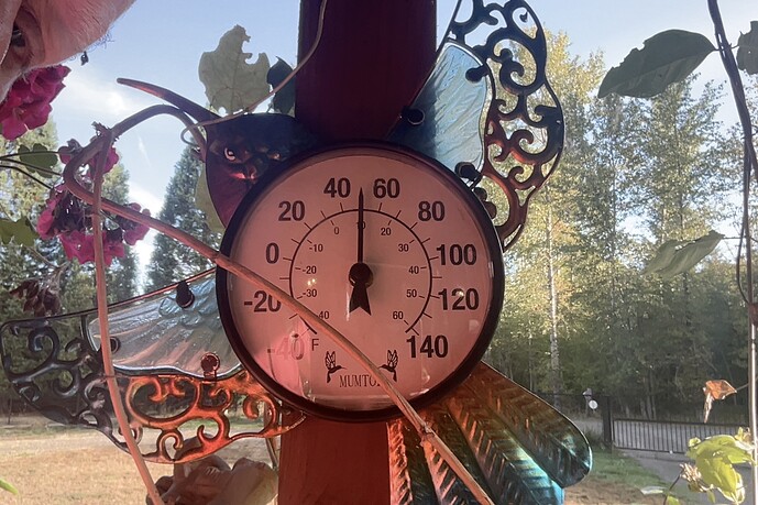 Photo on 9-8-25 at 8.43 AM #2