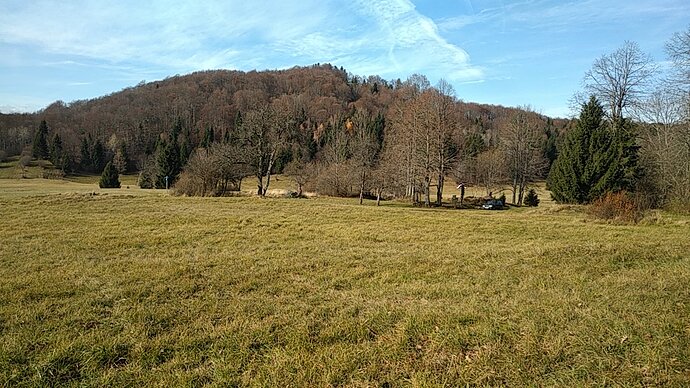 IMG_20201114_120637
