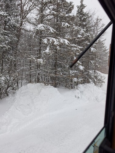 PXL_20260220_181631148.MP