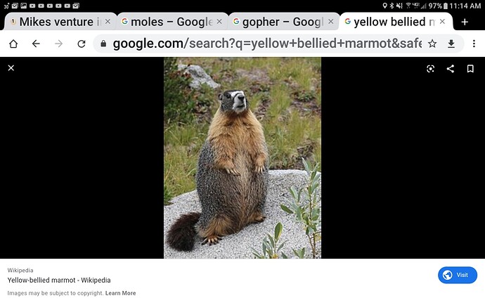 Screenshot_20200205-111444