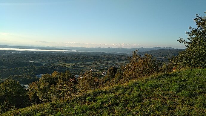 IMG_20201014_081043