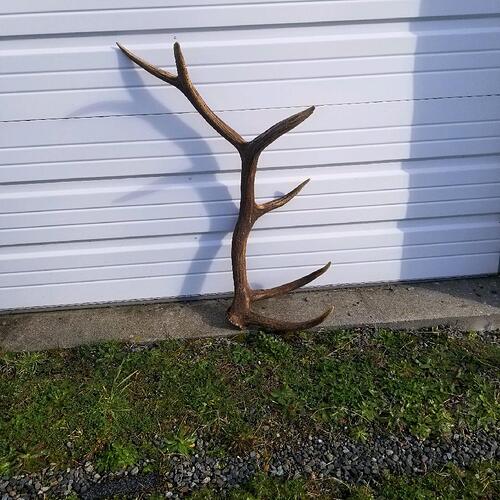 39357