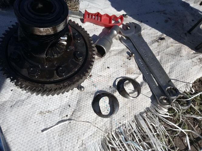 photo_2026-04-09_08-10-41