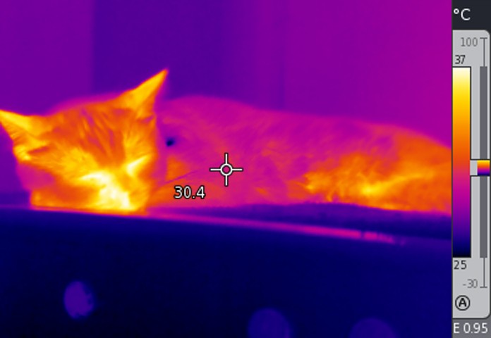 IR000012